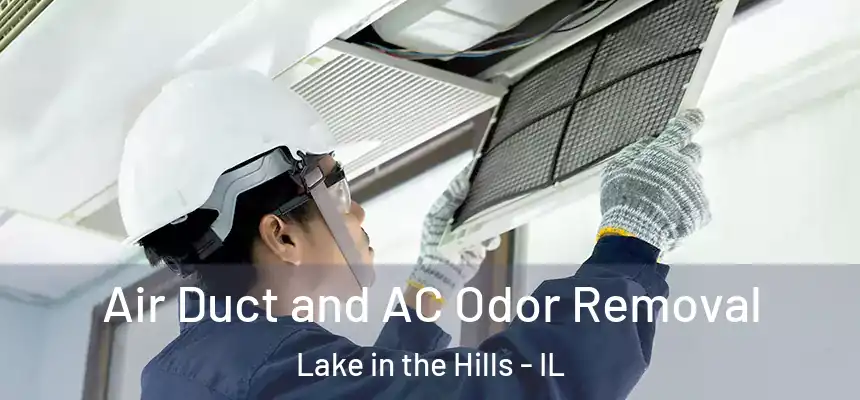  Air Duct and AC Odor Removal Lake in the Hills - IL