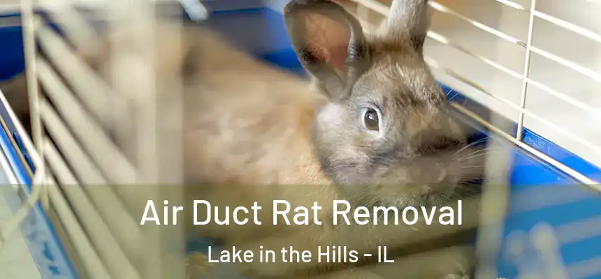  Air Duct Rat Removal Lake in the Hills - IL