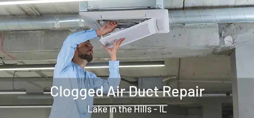  Clogged Air Duct Repair Lake in the Hills - IL