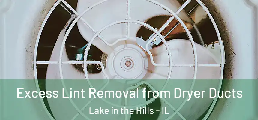  Excess Lint Removal from Dryer Ducts Lake in the Hills - IL