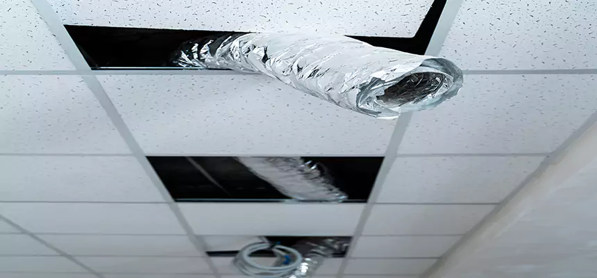 Our Air Duct Pet Hair Removal Services in Lake in the Hills, IL