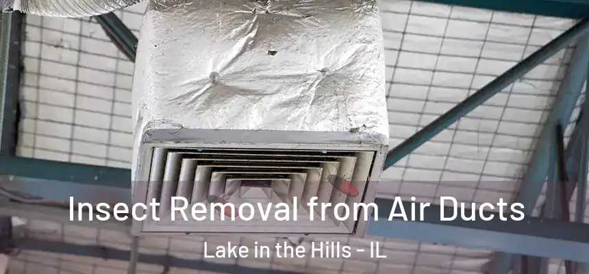  Insect Removal from Air Ducts Lake in the Hills - IL