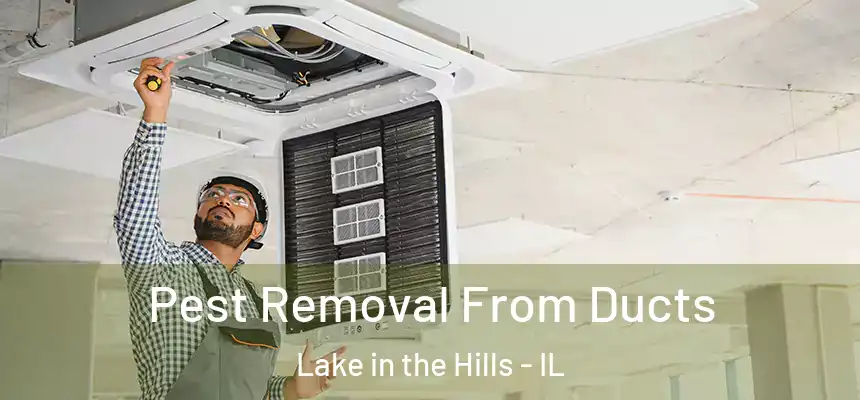  Pest Removal From Ducts Lake in the Hills - IL