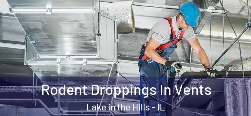 Rodent Droppings In Vents Lake in the Hills - IL
