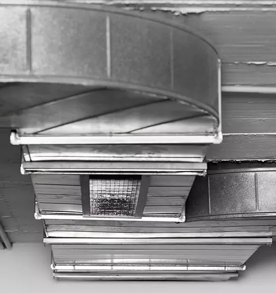 Professional Air Duct Pet Hair Removal in Lake in the Hills, IL