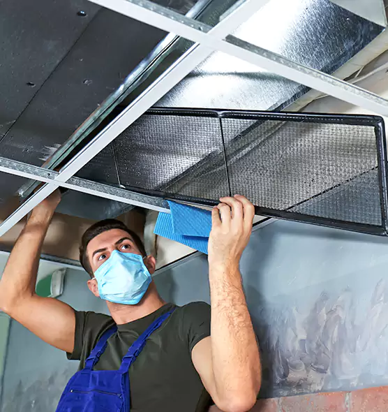 Professional Air Duct Pollen Cleaning in Lake in the Hills, IL