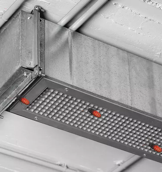 Affordable Insect Removal from Air Ducts in Lake in the Hills, IL