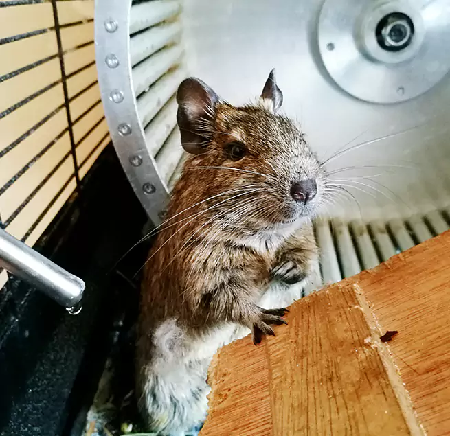 Why Homeowners & Businesses Trust Us Lake in the Hills, IL?