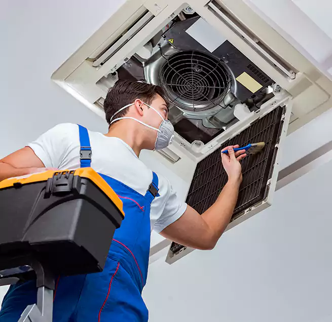 Why Homeowners & Businesses Trust Us in Lake in the Hills, IL