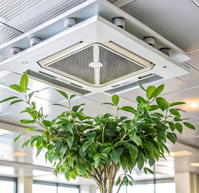 Why Homeowners & Businesses Trust Us in Lake in the Hills, IL?