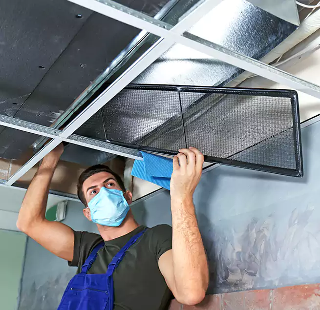 Why Homeowners Businesses Trust Us in Lake in the Hills, IL